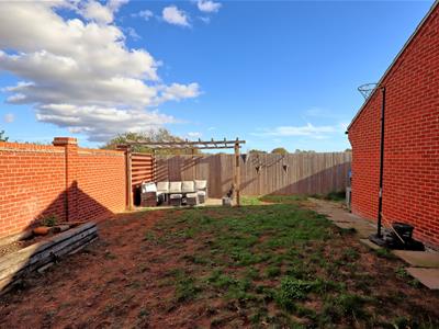 Picture 23
